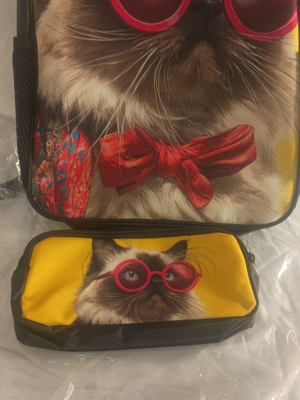 N/A cute cat